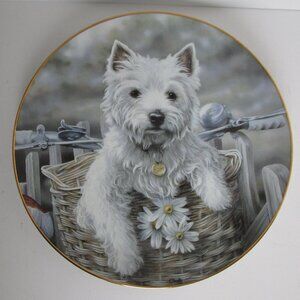 Danbury Mint Westie collector plate